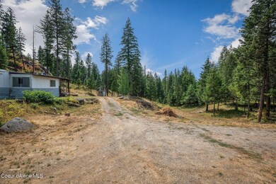 289 Kelso Woods Dr, Athol, ID 83801 - photo 4