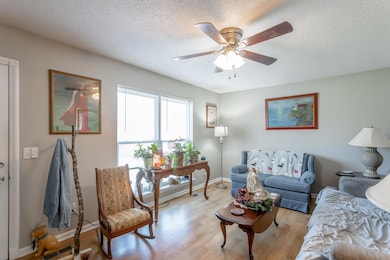 583 Pinewood Circle HD-24