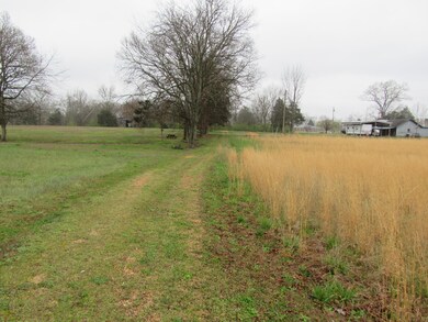 152 Horseshoe Bend Rd, Linden, TN 37096 - photo 2