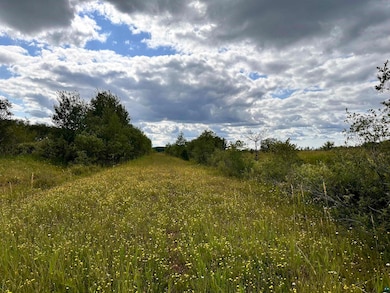 XXX Curry Rd unit Eileen, Eileen, WI 54856 - photo 6