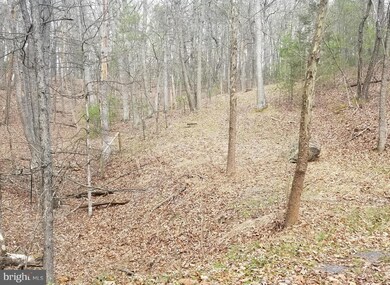 0 Palmer Rd unit 1003241395, Basye, VA 22810 - photo 5