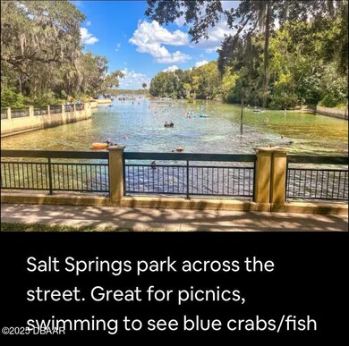 25161 NE 140th (Lot 18) Loop, Salt Springs, FL 32134 - photo 7