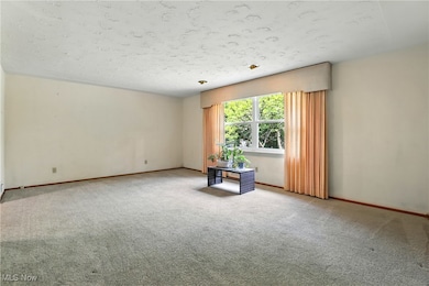 110 Shipherd Cir, Oberlin, OH 44074 - photo 7