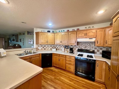 68317 233rd St, Dassel, MN 55325 - photo 6