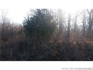 Just more trees.