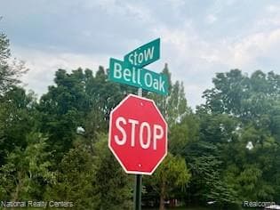 00 Stow Rd, Conway Township, MI 48892 - photo 5