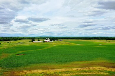 +/-19.85 Acres Wiese Dr, Rib Lake, WI 54470 - photo 3