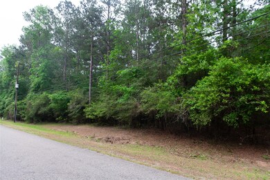 9203 Deer Lodge Rd, Magnolia, TX 77354 - photo 2