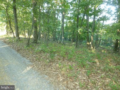 42 A Big Timber Dr, Whitacre, VA 22625 - photo 4