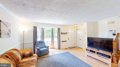 8114 Brightlink Ct, Ellicott City, MD 21043 - photo 4