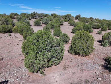 Coconino2