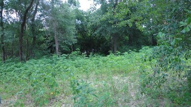 0 Carver St unit 49781565, Houston, TX 77091 - photo 4