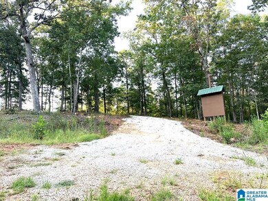 133 Lake Breeze Ln unit 3, Wedowee, AL 36278 - photo 5