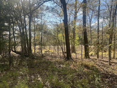 Lot 10 Cr 139, Okolona, MS 38860 - photo 3