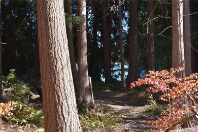 31409 W Lake Ketchum Rd, Stanwood, WA 98292 - photo 5