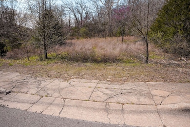0 Frank Rea Blvd unit Lot F3 23190306, Branson, MO 65616 - photo 6