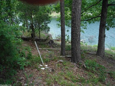 999 Belmont Acres Cir, Tumbling Shoals, AR 72581 - photo 2