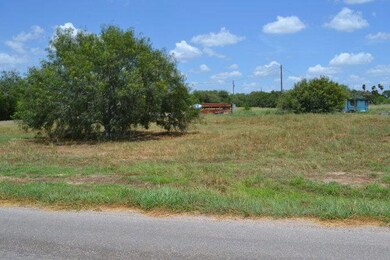 98 E Ridge Rd, Alamo, TX 78516 - photo 3