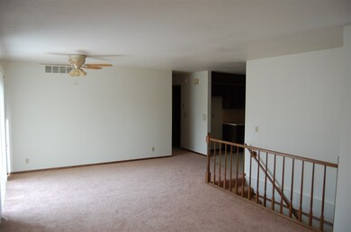 NEW WALL PAINT & CARPETING