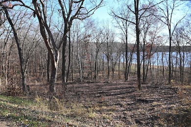 TBD Ottawa Dr, Browerville, MN 56438 - photo 3