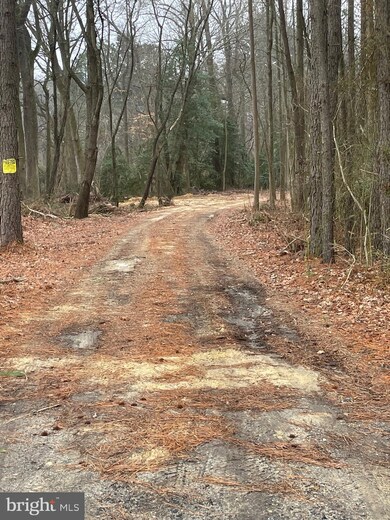 Lot 9B West Piney Gr Deer Pines, Georgetown, DE 19947 - photo 2