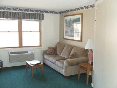 160 Deer Park Dr unit 143 B1 & B2, Woodstock, NH 03262 - photo 2