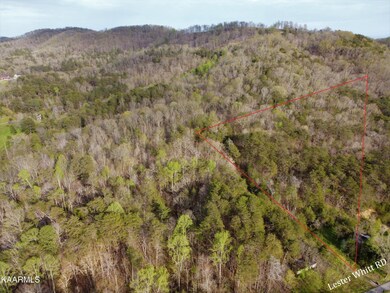 0 Lester Whitt Rd unit 1188060, Rutledge, TN 37861 - photo 6