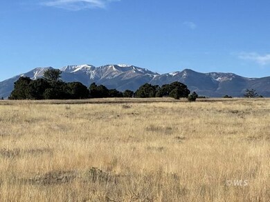 Trees, meadows, mountain views