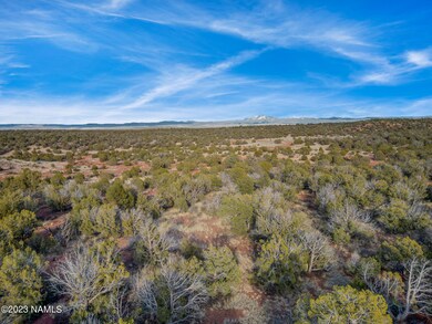 0 W Ricardas Way unit 153 196940, Ash Fork, AZ 86320 - photo 7