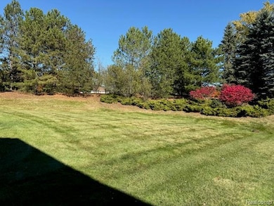 View of grassy yard featuring view of wooded area