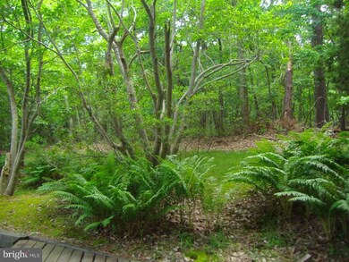 19 Sunrise Trail, Medford, NJ 08055 - photo 7