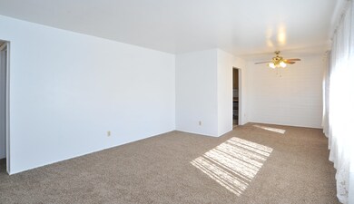 741 E Mcmillan Dr, Tucson, AZ 85719 - photo 4