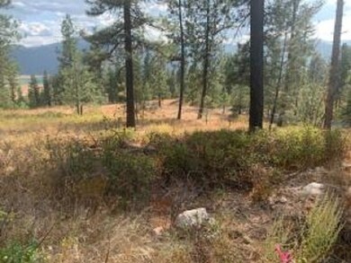 708 Palmer Ln, Chewelah, WA 99109 - photo 3