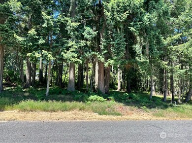 10224 Totem Way, Anderson Island, WA 98303 - photo 4