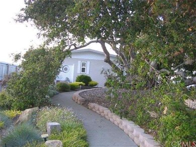 Winding terraced path past huge oak tree to front 