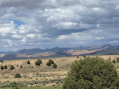 883 E Wilson Cir, Hatch, UT 84735 - photo 5