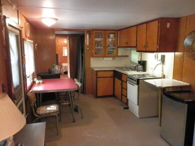 173 E Forest Trail, Le Roy, MI 49655 - photo 5