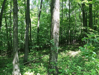 00 Baldwin Rd, Schenectady, NY 12302 - photo 6