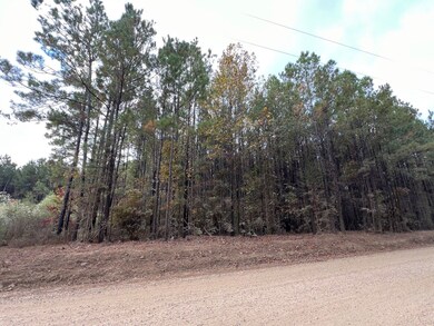 0 Sporsman Paradise Rd, Many, LA 71449 - photo 2