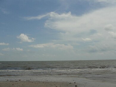 Other. Gulf of Mexico!