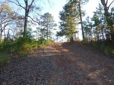 Lot 11 County Road 816, Nacogdoches, TX 75964 - photo 2