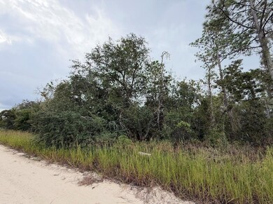 0 NE 66th Ln unit MFRGC520627, Williston, FL 32696 - photo 3