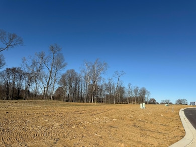 810 Durrow Dr unit Lot 14, Independence, KY 41051 - photo 7