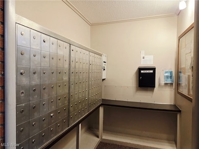 View of home's community with mail area, crown molding, and a textured ceiling