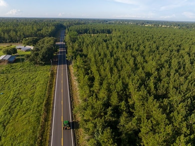 0 Edgerly Rd unit 24516946, Dequincy, LA 70633 - photo 4