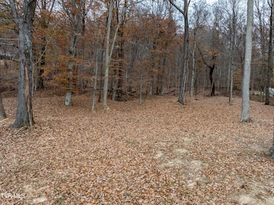 211 Rocky Branch Rd, Blountville, TN 37617 - photo 2