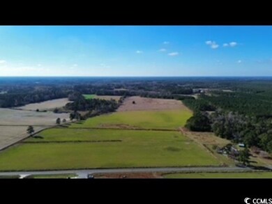 Hwy 66 Hewitt Rd, Loris, SC 29569 - photo 2