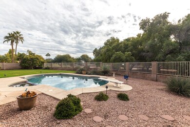 Expansive Backyard