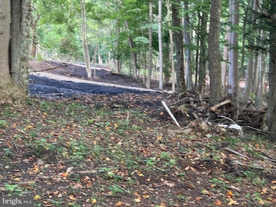 0 Abrams Creek - Oakmont Wv unit WVMI2000826, Elk Garden, WV 26717 - photo 7