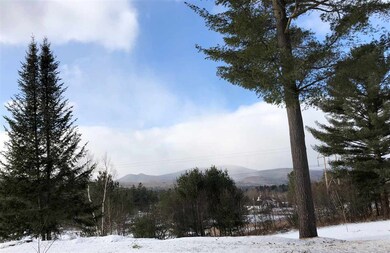 112 Mountain River East Rd unit 20, Thornton, NH 03285 - photo 4